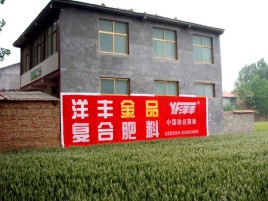 仁怀市如何让墙体广告展现最大化效果